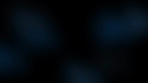 2465