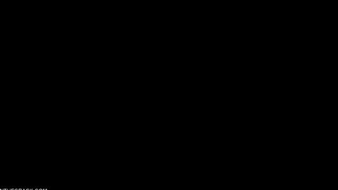 20136