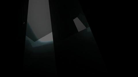 23810